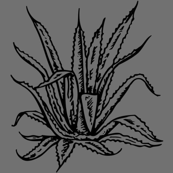 PLANT02 Thumbnail