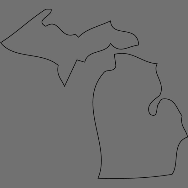 MICHIGAN Thumbnail